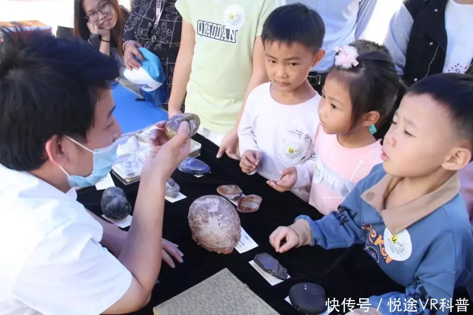 研究化石,趣味定向,植物压花!番禺公园科普活动继续神奇旅程!