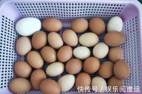 营养师|鸡蛋是“平民养生佳品”,但营养师提醒:有3种鸡蛋一定不要乱吃