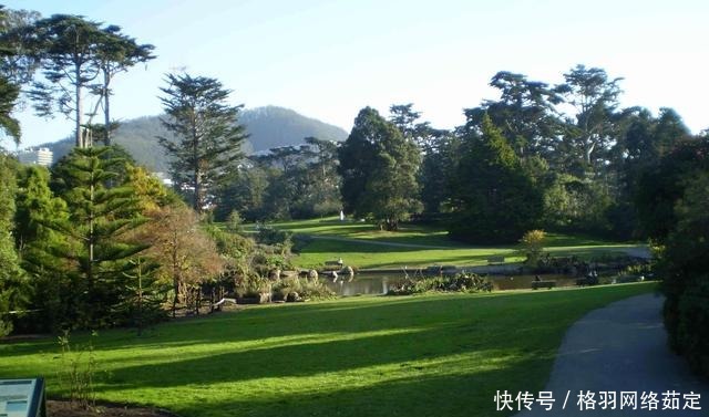 波内 卡尔是翼装飞行的创始人,他为何会丧生,看罢大概率就知道了