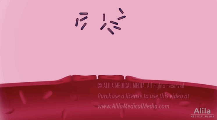 moony|人啊，就是要脸皮“厚”一点