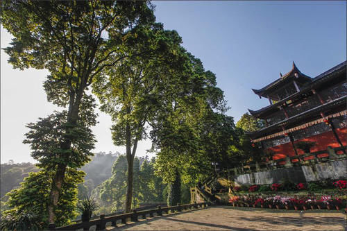 峨眉密林深处花园般的比丘尼寺院，你找到过吗？