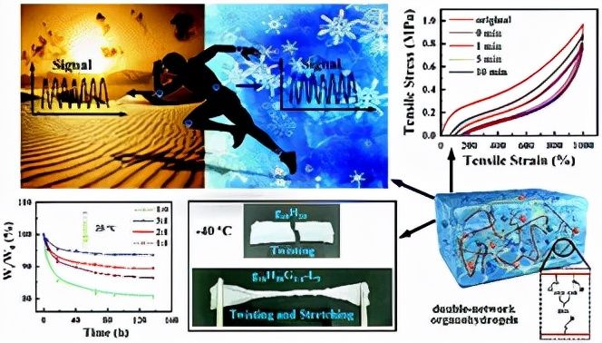 应变传感器|高韧/抗冻/抗疲劳全物理交联双网络有机水凝胶，用于应变传感器