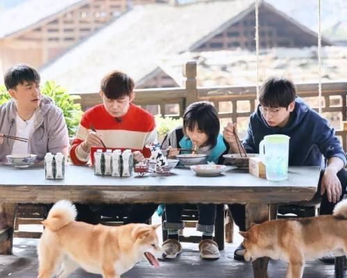 来头 《向往的生活5》阵容确定,张子枫彭昱畅重聚,新成员大有来头