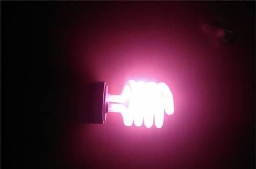 花卉|家里光照不好又想养花很纠结?此3个方法好用又实在,圆你养花梦