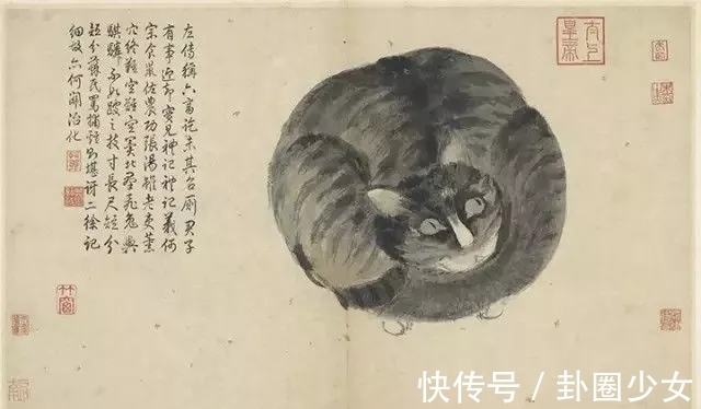 观物写生册&明代对景写生大家|沈周花鸟画《观物写生册》