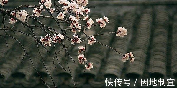 底朝天#《道德经》有和没有的关系,原来是这样,你能掌握吗!