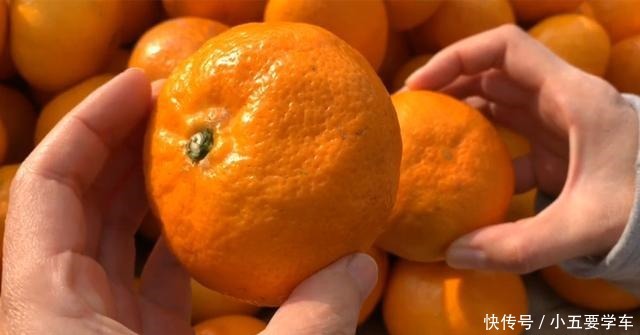 买橘子时,只要喊出这“3个字”,老板一听是懂行的,不敢糊弄你
