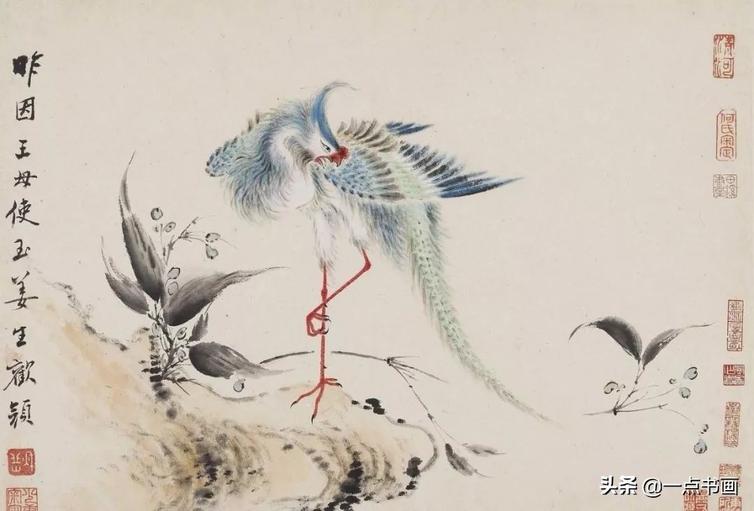 草虫&华岩的花鸟画,独辟蹊径,令人耳目一新