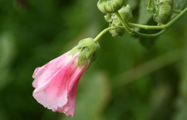 胡曹&一个真正厉害的人,懂得“空杯理论”