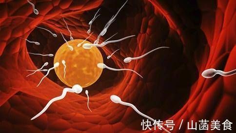 排卵期|女人一个月排几次卵一次能排几颗卵子