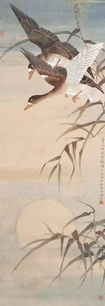  花开见佛——工笔画大师陈之佛作品