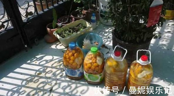 养花技巧:醋、橘子皮、小苏打用来养花,好处多!