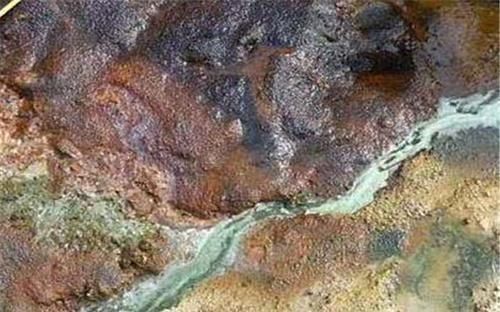 维京号 火星又有新发现勇气号在赤道附近,发现“贝壳类”不明物