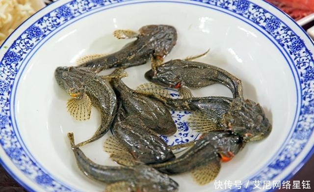 御赐|它曾被皇帝御赐“第一名鱼”,体重不过二两,如今200元一条