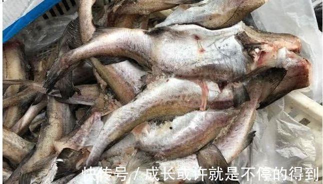 腌制|4种鱼,或是病菌的“仓库”,免费送也别要,发现了要立即扔掉