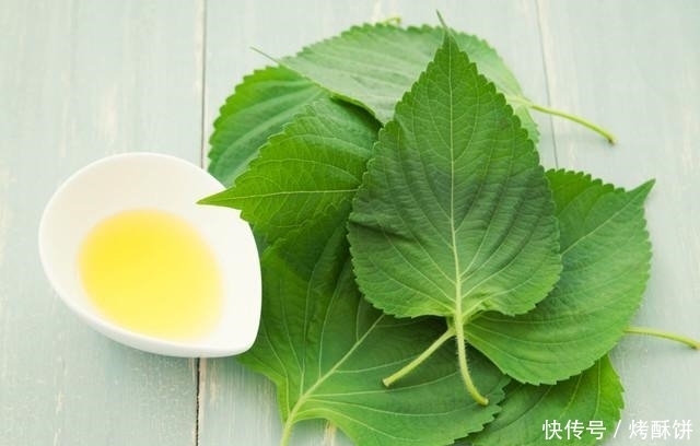 肺部|46—59岁养生黄金期,防好两种病,做到三处净,助你长寿十年