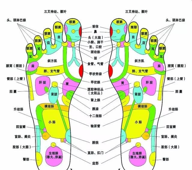 脚掌|“人老脚先衰”!10 个动作帮你灵活双脚,强健根基
