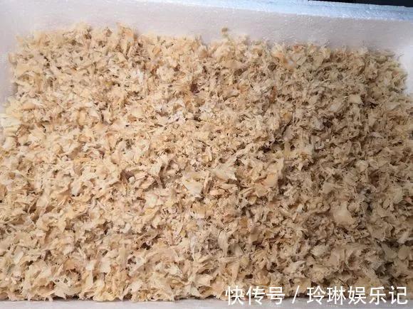 3种“碎渣渣”,是养花的好材料,掺土里花儿蹭蹭长,开爆盆!