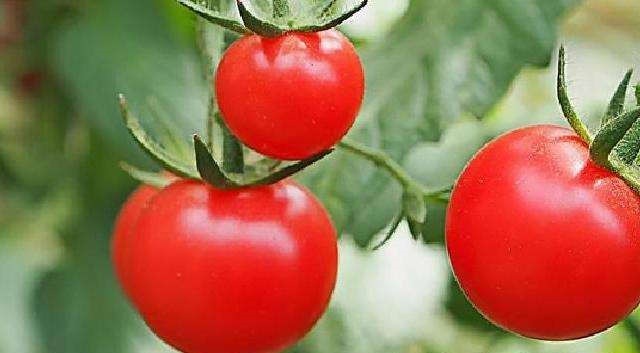 菠菜|每天不妨多吃3种食物,营养丰富、延缓衰老,身体棒棒哒!