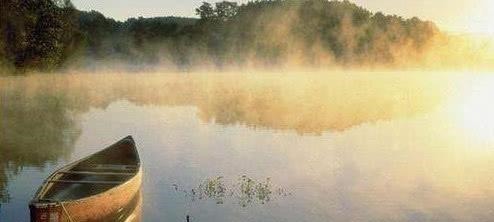 中国人!老祖宗最有智慧的四句话,背熟它,让你成功逆袭,做人生赢家