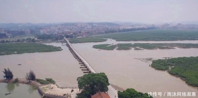 水果|石榴在当下并非稀有水果,但在古代一个石榴甚至能换一头健壮的牛