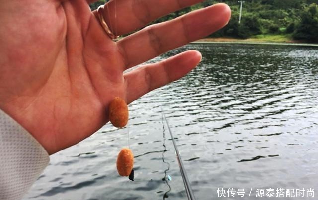 上饵时需要包住鱼钩吗不包住对钓鱼有没有影响困惑的看这