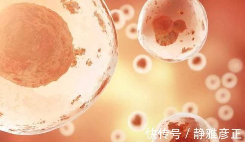 小郭|为啥女明星怀双胞胎很容易？两种惯用方式，一般妈妈很难接受