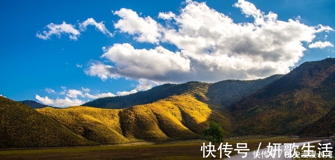 草原|香格里拉这个人迹罕见的地方，景色优美，绕海骑行是最佳选择