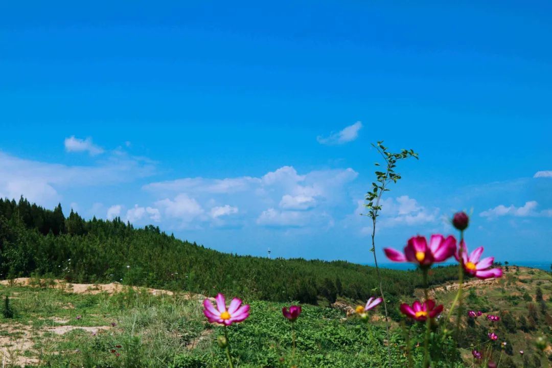 山高水长|到处都热得难受，艾山却清凉并酷爽着，来不？