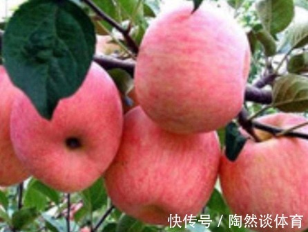 健康|“晚上吃苹果”，对健康是利是弊？很多人不清楚，不妨一起了解下