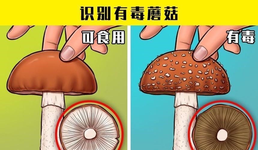 在紧急情况下，或许可以拯救生命的7个小技巧