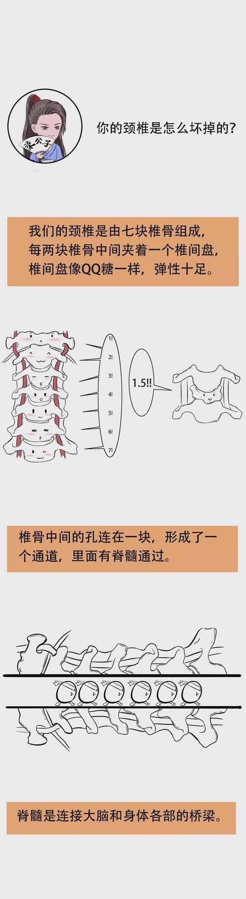 颈部|你的颈椎是怎么坏掉的,附颈椎保健操!