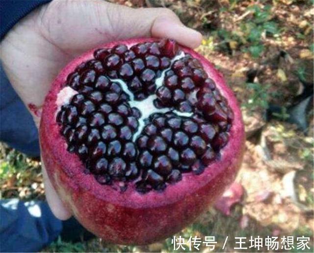 丹砂@秦始皇陵里到底灌入了多少水银看看山顶的石榴树,就能明白了