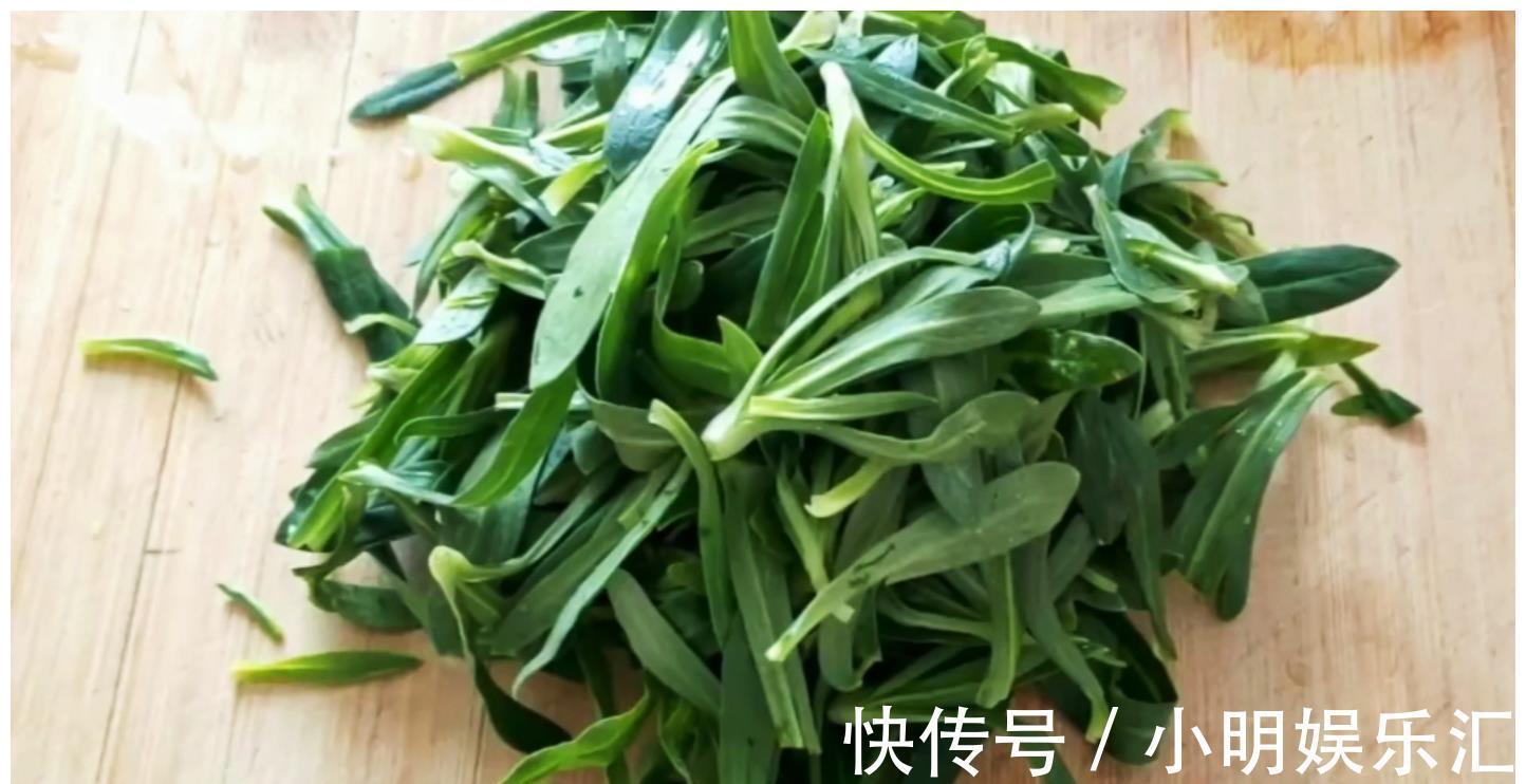 采摘|长在路边的20种杂草可以当作野菜食用，你认识几种？