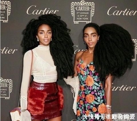 双胞胎姐妹|这对双胞胎姐妹曾经很厌恶自己的头发,如今靠其个性走红网络