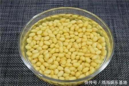 植株|家里自制养花“肥水”,每半个月给花来一点,浇一浇就长得旺!