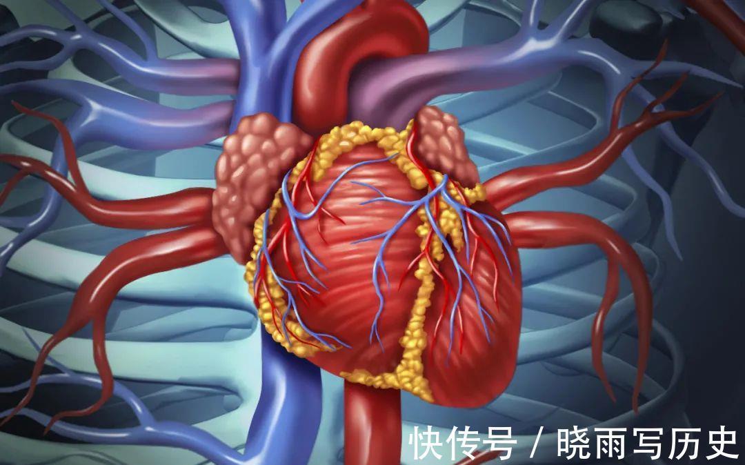 小事|血管被堵住,会给身体带来3大危害,保护血管要从这4件小事做起