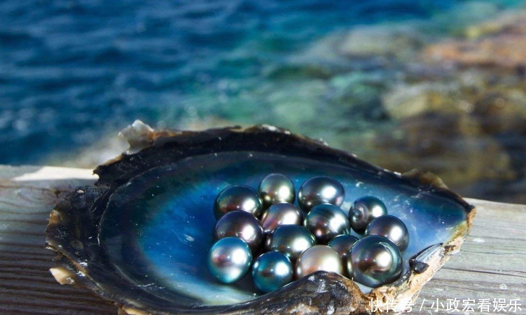 珍珠|来自太平洋的馈赠,大溪地珍珠纯洁又神秘,邓文迪也为它沦陷