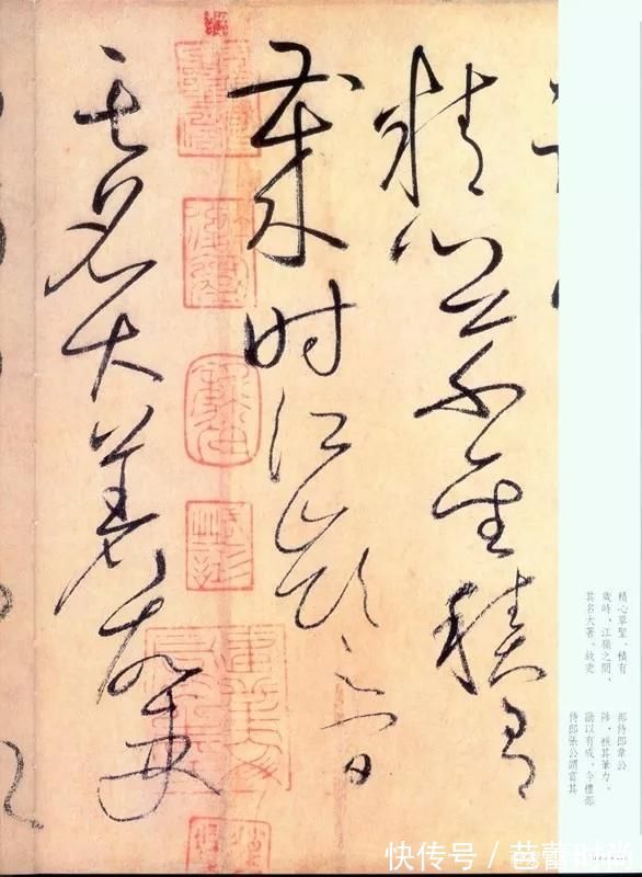 宋苏舜钦!怀素《自叙帖》奔蛇走虺势入座,骤雨旋风声满堂