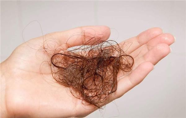 头发|天天洗头到底好不好洗头经常犯这3个错误,怪不得头发越掉越多