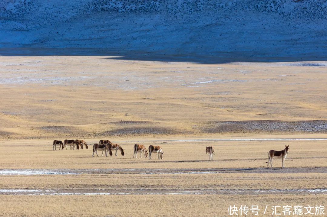 共舞|比稻城纯净、比可可西里震撼，死亡与美丽共舞的无人秘境！