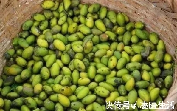 工巧匠|农民一种野果子,味道难吃,殊不知价值珍贵,卖到26元一斤