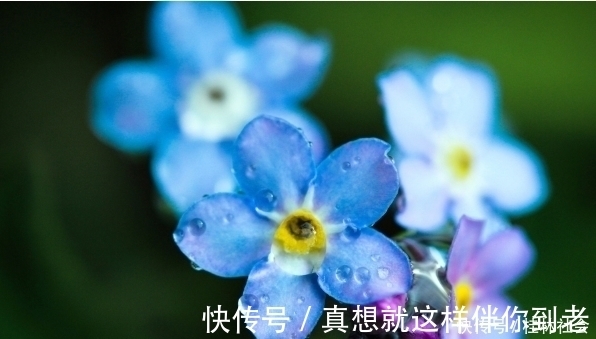 孟尝君|遇到小人不要怕,就学会这4招,再狡猾小人也不怕,让他服服帖帖