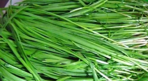 冬天|爱吃韭菜的人,身体不会差,但冬天吃韭菜有2大禁忌,你需要了解