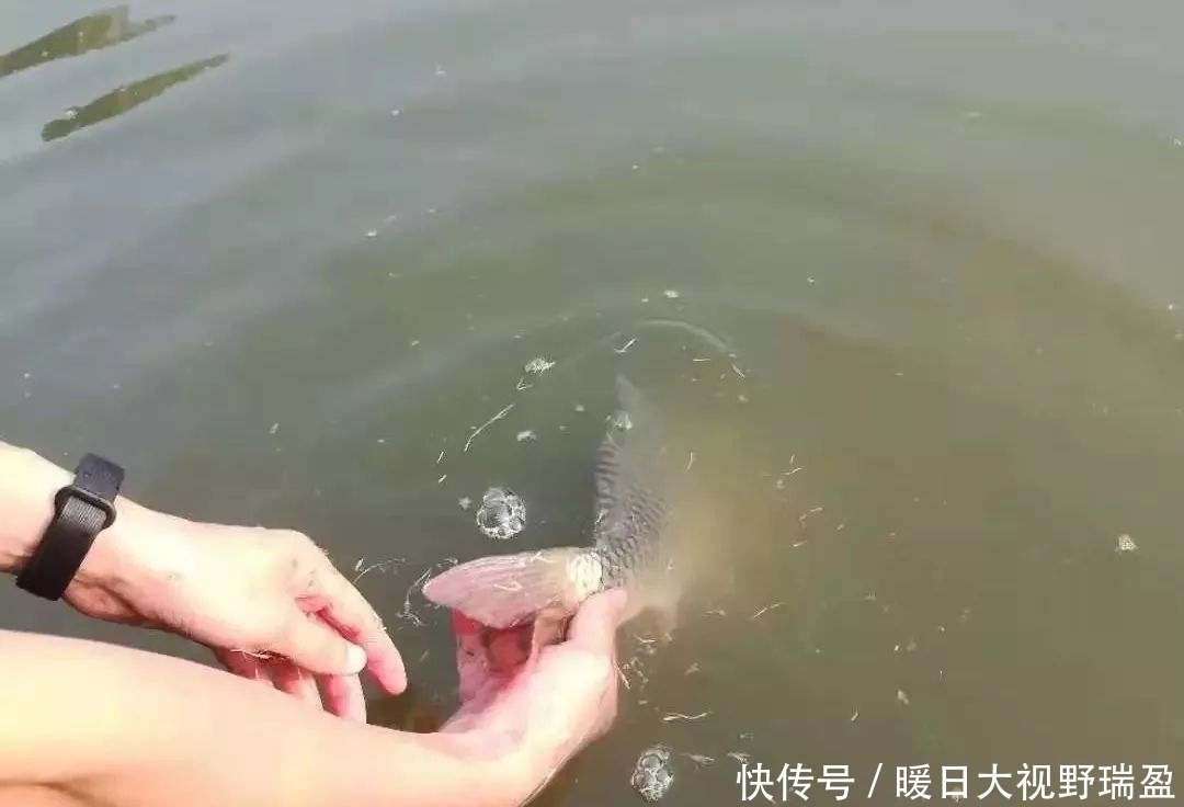 钓友|天热鱼难钓?作出四大调整就能轻松上鱼完胜周边钓友