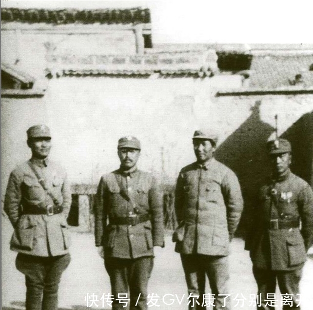 猛然|毛主席问卫立煌:驴是先迈左脚还是右脚?卫起先不懂,后猛然醒悟