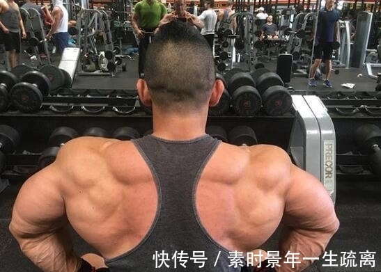 个子|个子小不影响肌肉增长,1.68身高180斤,背肌练到起球