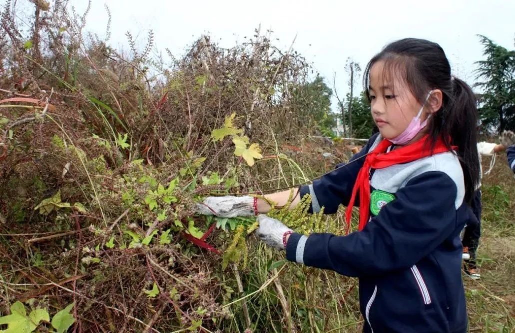 中小学|2个月，4.7万名学生，干了这件有意义的事……