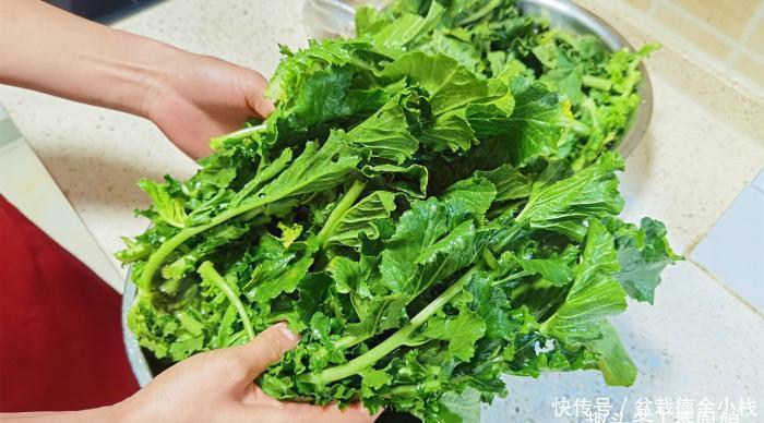 吃萝卜|此菜营养极高,很多人只吃果肉,其实叶子才是宝贝,蒸一锅太香了