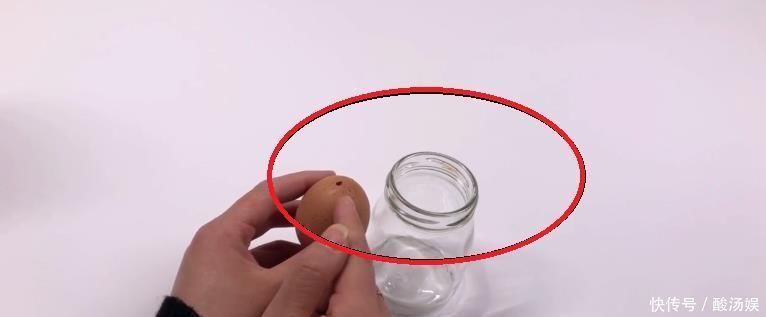 不管养什么花,花盆里放入1个鸡蛋,一年都不用施肥,怎么回事